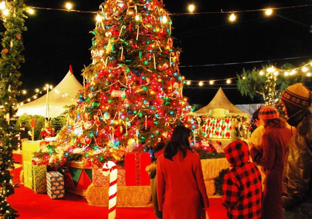 Christmas Day Celebrations