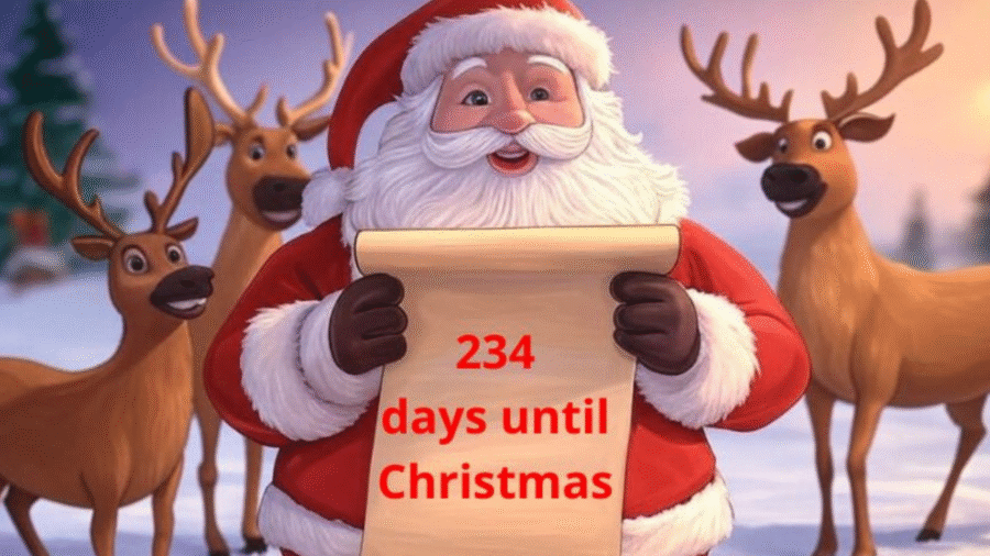 234 Days to Christmas