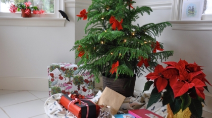 Colorful Christmas Display