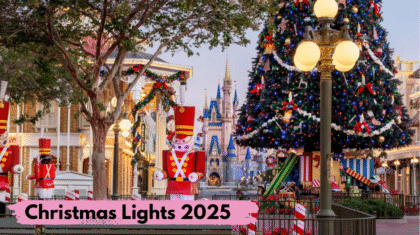 Christmas Lights 2025