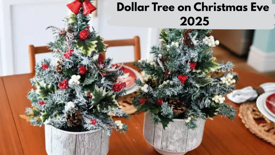 Dollar Tree on Christmas Eve 2025