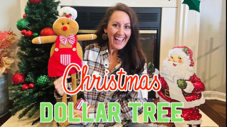 Dollar Tree Open on Christmas Eve