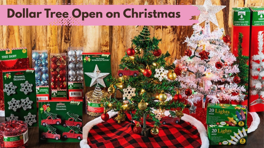 Dollar Tree Open on Christmas