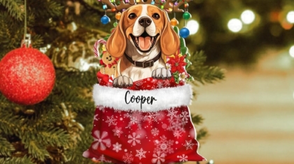 Creative Personalized Pet Ornaments