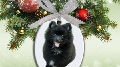 Creative Personalized Dog Ornaments