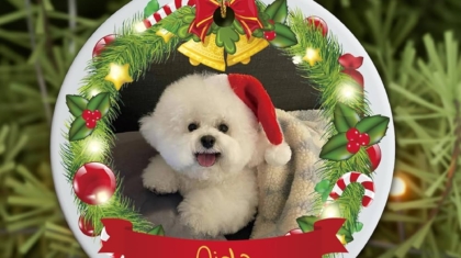 Personalized Christmas Ornaments for Pets
