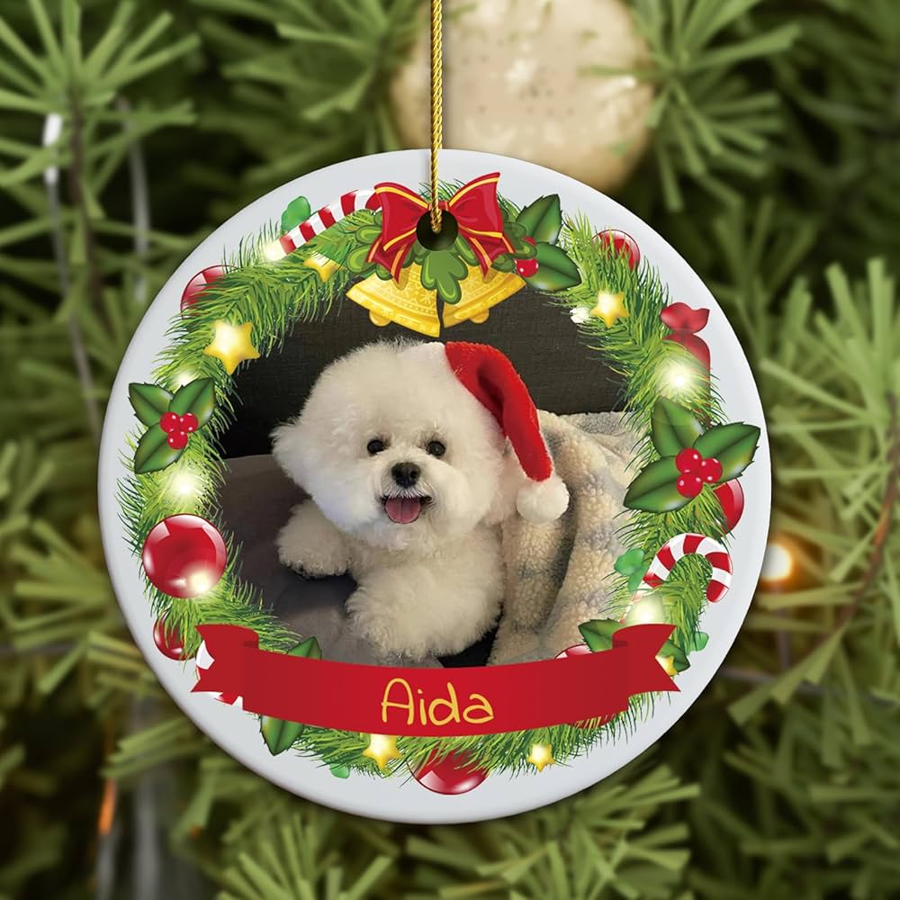 Unique Personalized Christmas Ornaments for Pets A Complete Guide We — free download