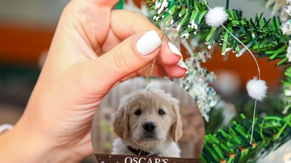 Personalized Pet Christmas Ornaments