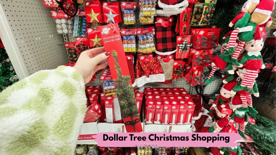 Dollar Tree Christmas Shopping