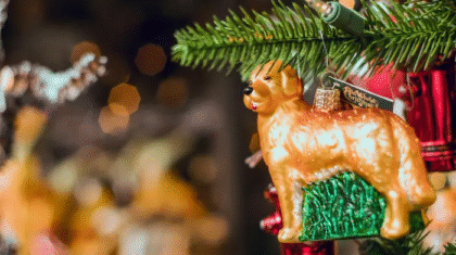 Personalized Pet Ornaments