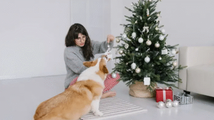 Personalized Pet Ornament