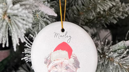 Personalized Pet Ornament for Your Holiday Tree