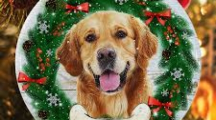 Perfect Personalized Pet Ornament for Christmas