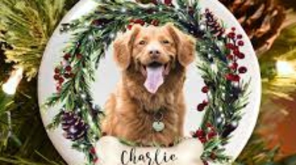 Personalized Christmas Ornaments for Pets