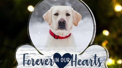 Personalized Christmas Ornaments for Pets