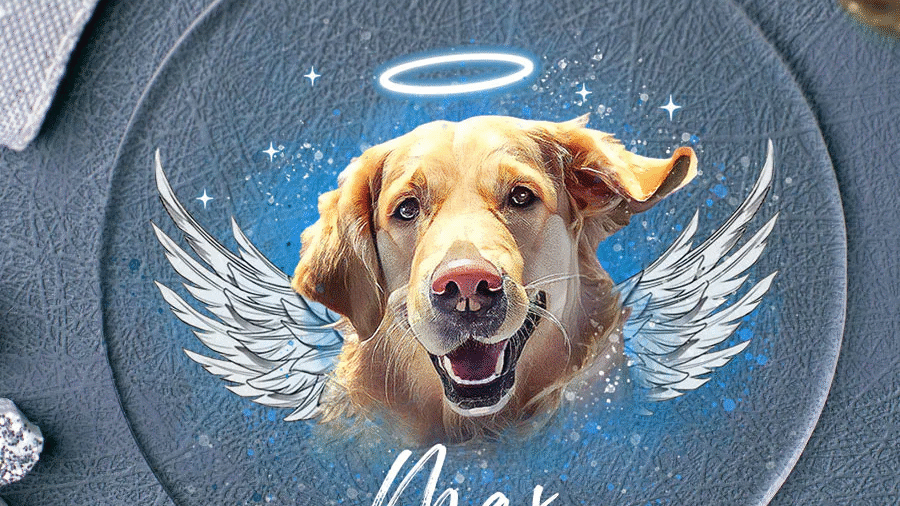 Personalized Pet Ornaments