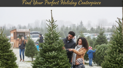 Where to buy fresh Christmas trees