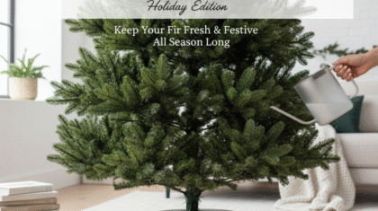 Christmas Tree During the Holidays