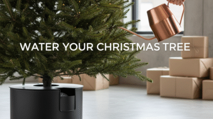 Water a Christmas Tree