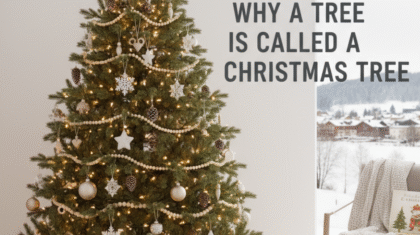 Tree is Called a Christmas Tree