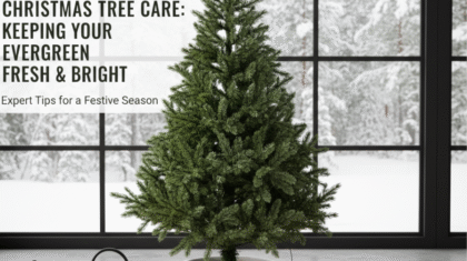 Christmas Tree Care