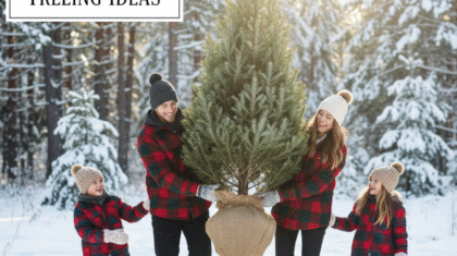 Best Christmas Treeing Ideas
